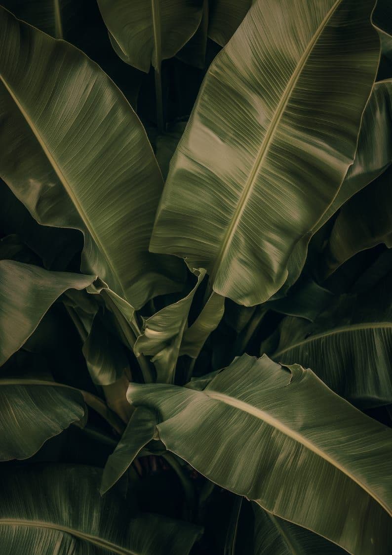 Schedule Your Holiday Wellness at Sway