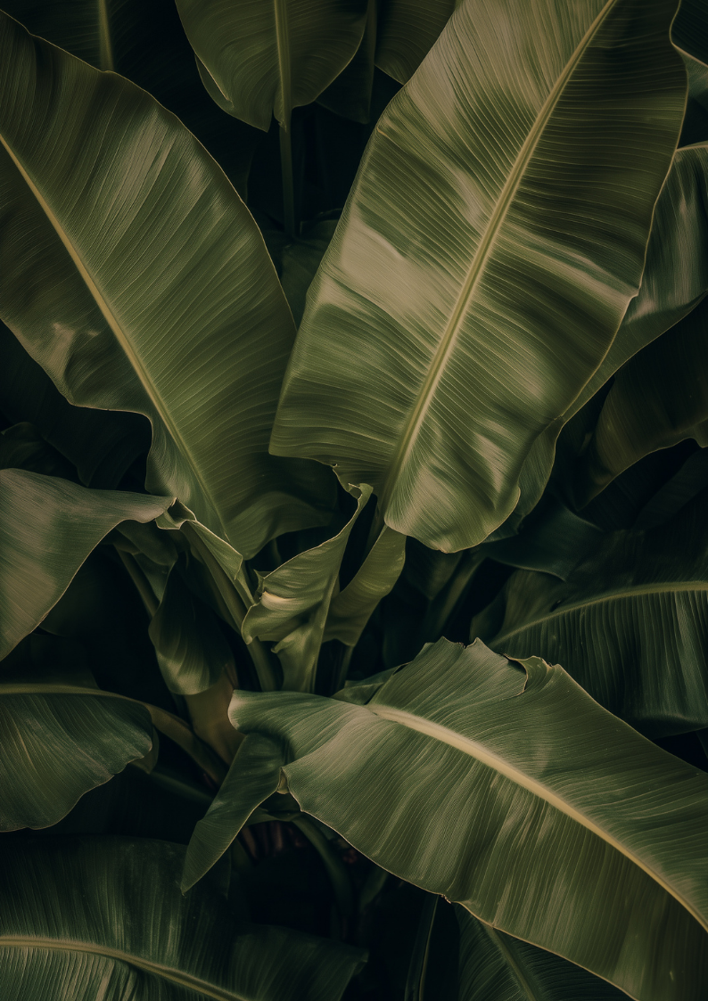 Schedule Your Holiday Wellness at Sway